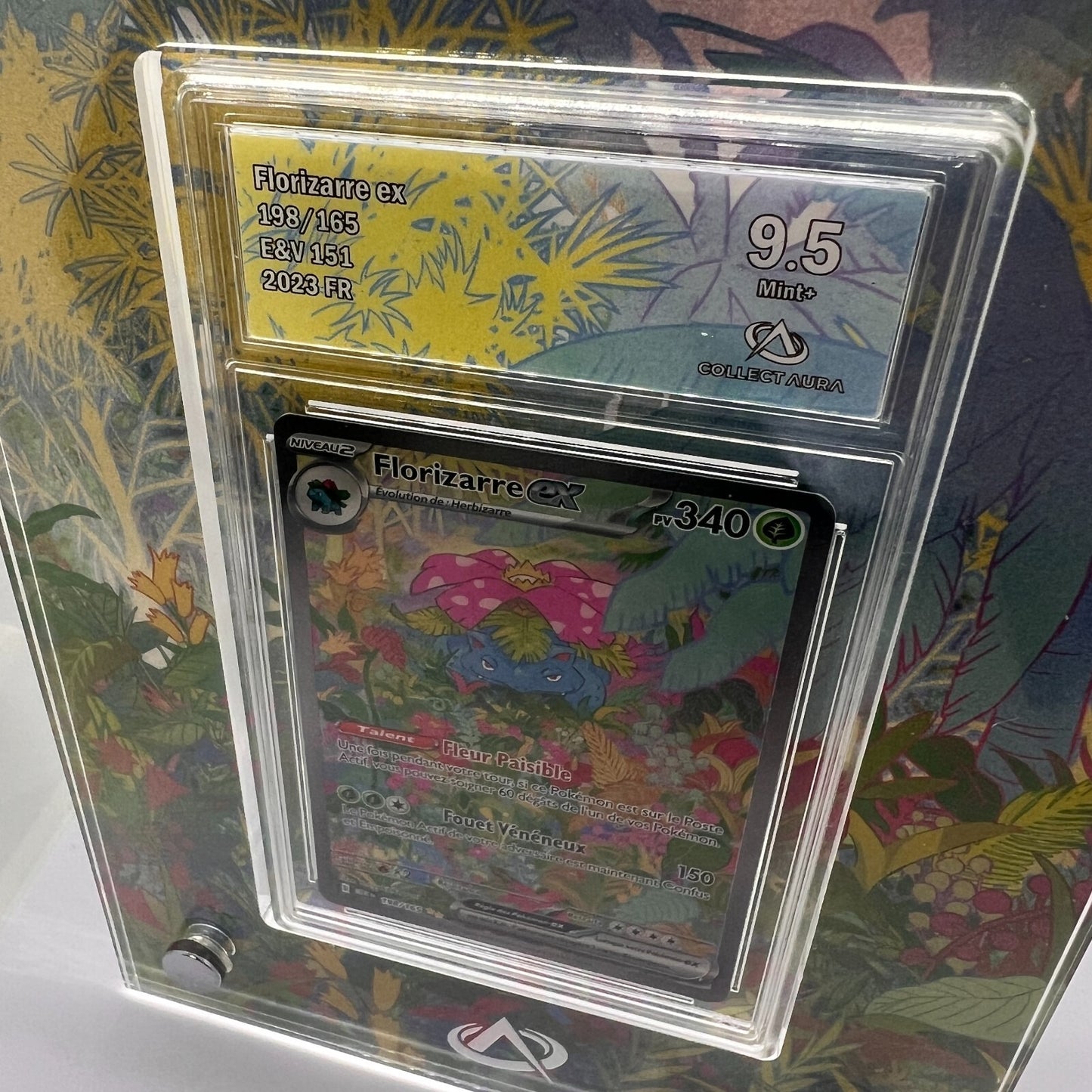 Florizarre EX Alt 198/165 Pokémon 151 EV3.5 - Gradé 9.5 Collect’Aura + Cadre